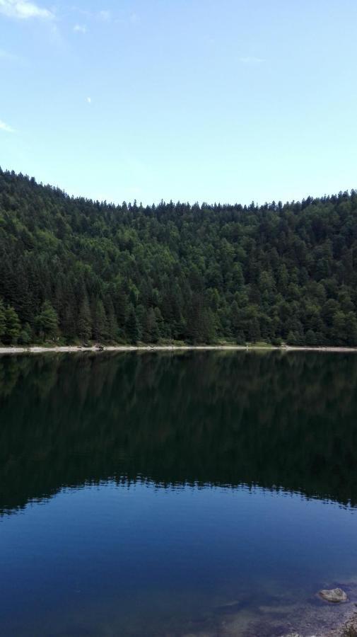 Gite 13 personnes- 7 pièces - wifi - ménage compris - 2 kms du lac des corbeaux - proche pistes navette hivernale à moins de 100m - par aventure le bol d'air à 250m La Bresse Exterior foto
