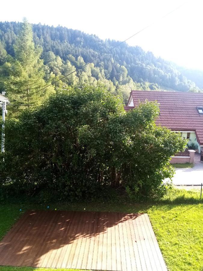 Gite 13 personnes- 7 pièces - wifi - ménage compris - 2 kms du lac des corbeaux - proche pistes navette hivernale à moins de 100m - par aventure le bol d'air à 250m La Bresse Exterior foto