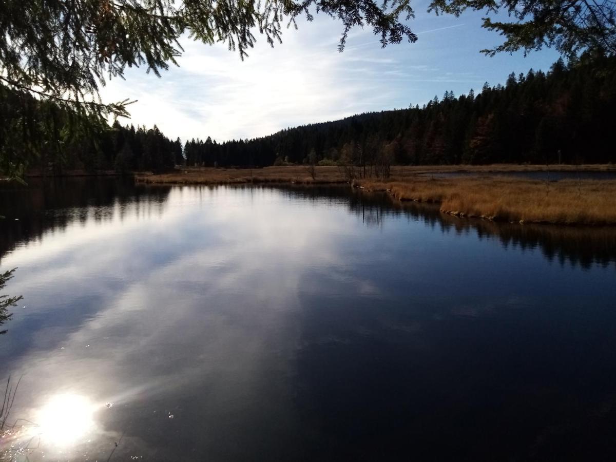 Gite 13 personnes- 7 pièces - wifi - ménage compris - 2 kms du lac des corbeaux - proche pistes navette hivernale à moins de 100m - par aventure le bol d'air à 250m La Bresse Exterior foto