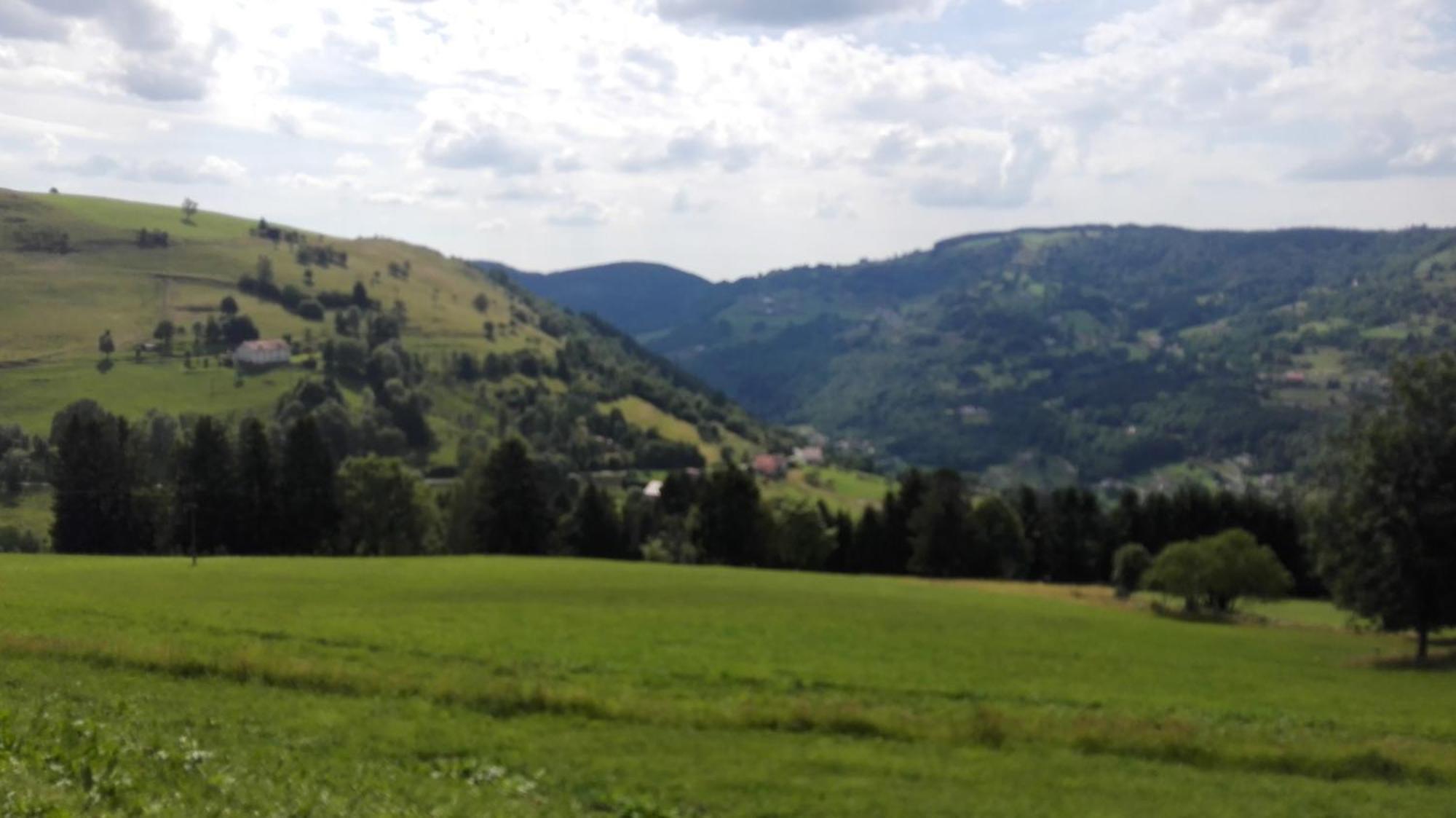 Gite 13 personnes- 7 pièces - wifi - ménage compris - 2 kms du lac des corbeaux - proche pistes navette hivernale à moins de 100m - par aventure le bol d'air à 250m La Bresse Exterior foto
