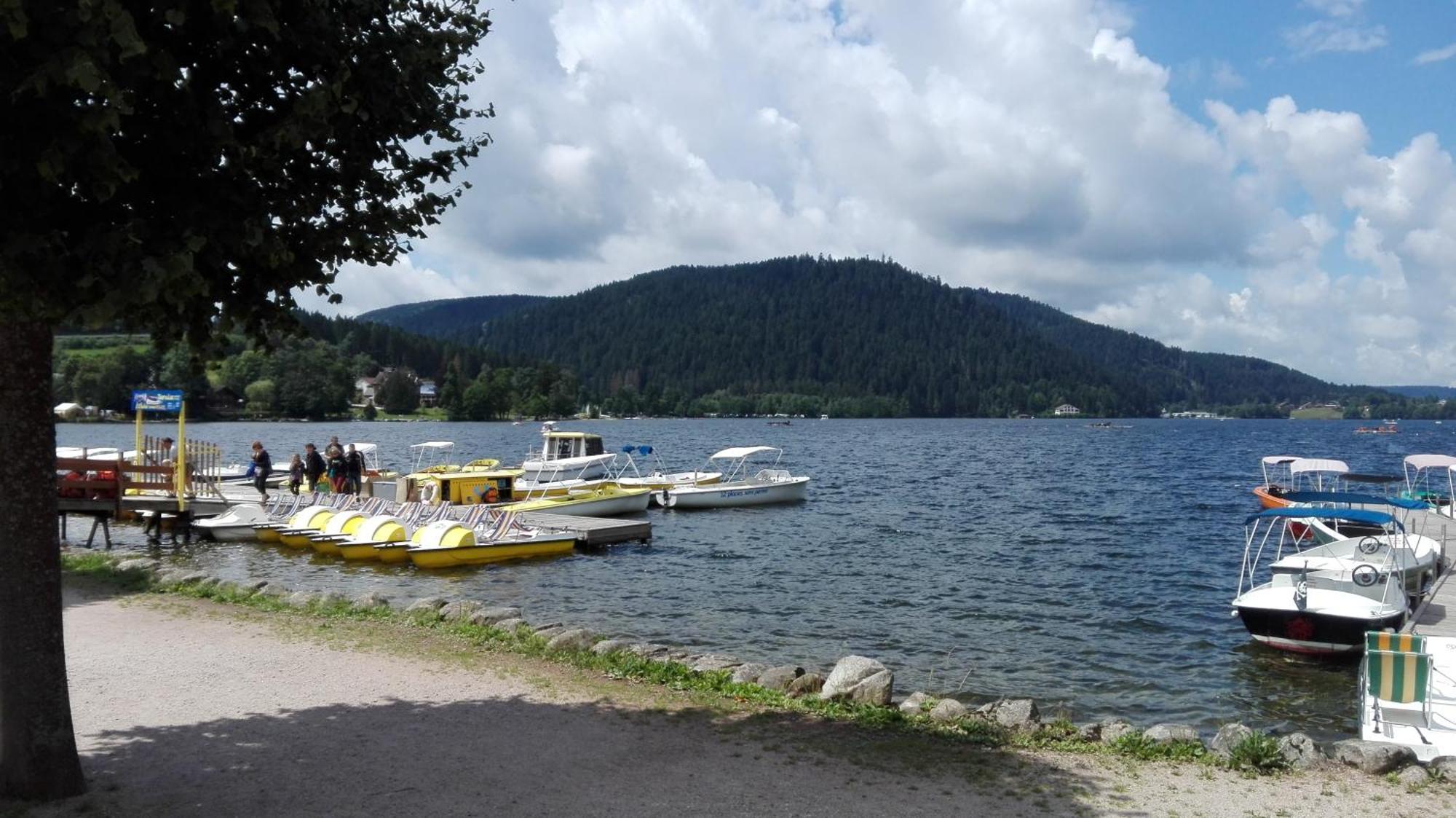 Gite 13 personnes- 7 pièces - wifi - ménage compris - 2 kms du lac des corbeaux - proche pistes navette hivernale à moins de 100m - par aventure le bol d'air à 250m La Bresse Exterior foto