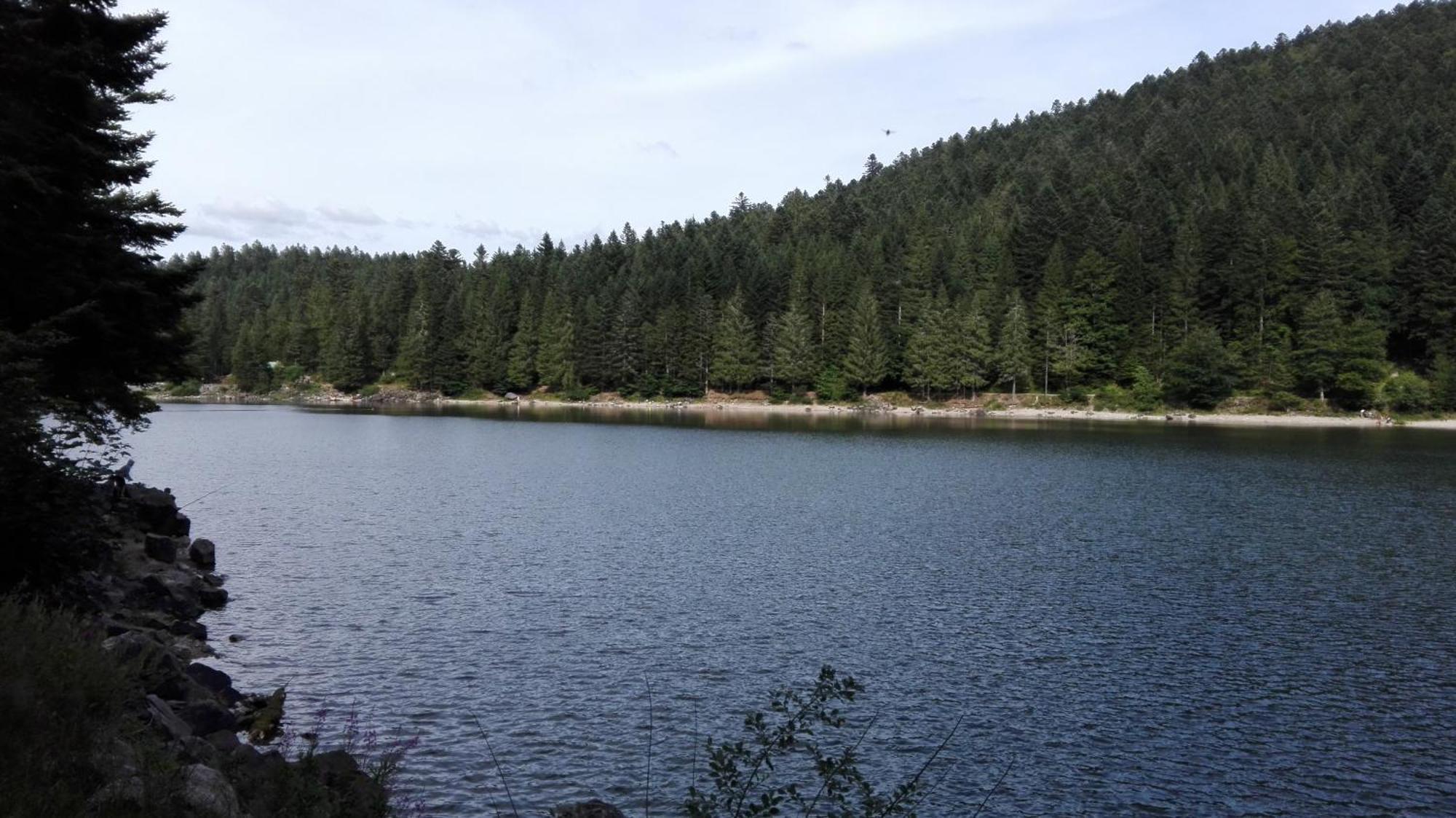 Gite 13 personnes- 7 pièces - wifi - ménage compris - 2 kms du lac des corbeaux - proche pistes navette hivernale à moins de 100m - par aventure le bol d'air à 250m La Bresse Exterior foto