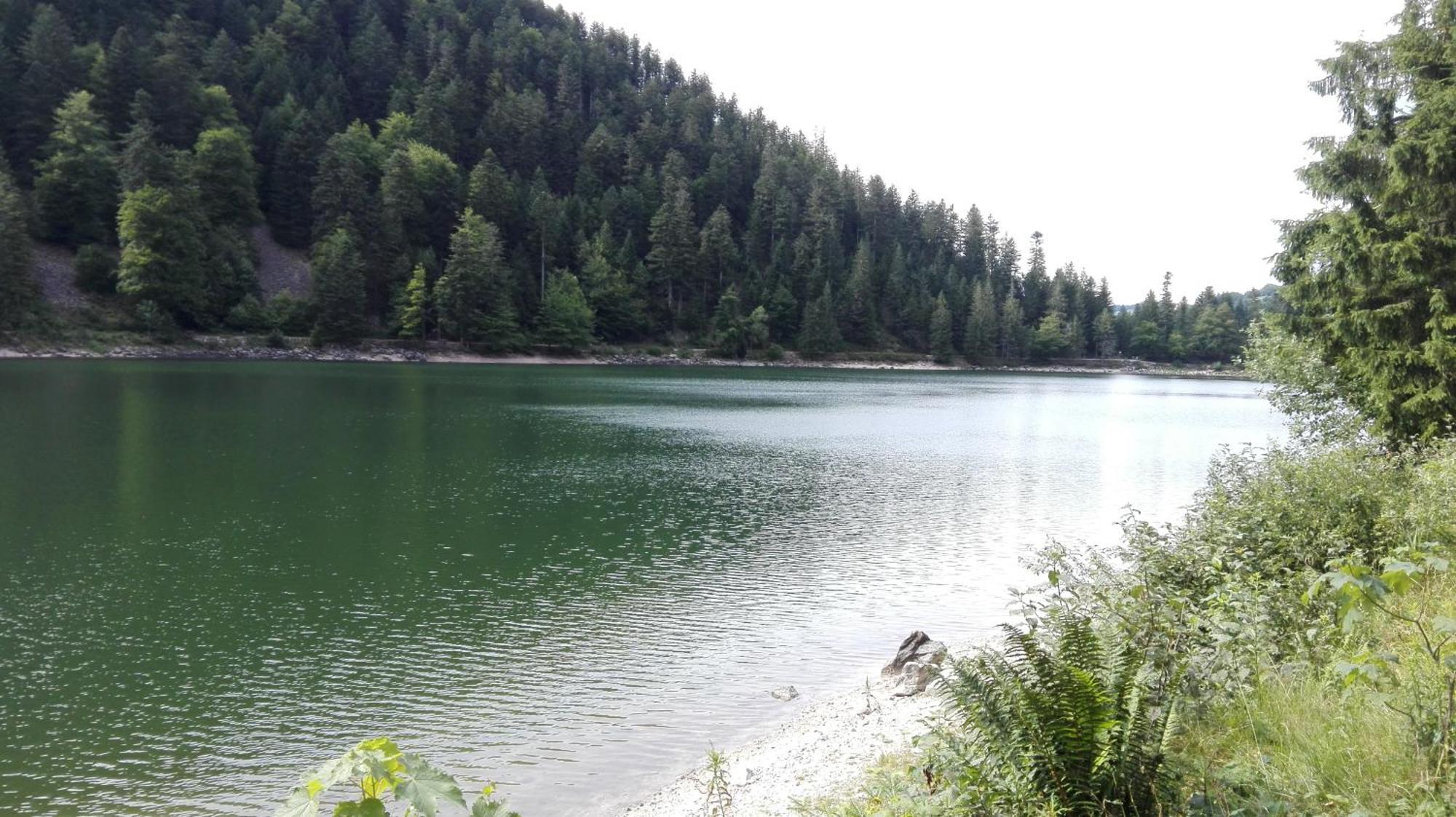 Gite 13 personnes- 7 pièces - wifi - ménage compris - 2 kms du lac des corbeaux - proche pistes navette hivernale à moins de 100m - par aventure le bol d'air à 250m La Bresse Exterior foto