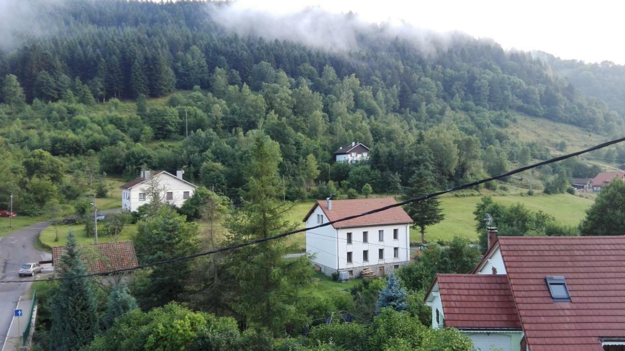 Gite 13 personnes- 7 pièces - wifi - ménage compris - 2 kms du lac des corbeaux - proche pistes navette hivernale à moins de 100m - par aventure le bol d'air à 250m La Bresse Exterior foto